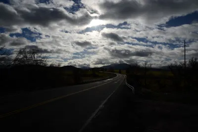 DSC_1025 (Large).JPG